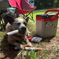PetSafe™ - Indestructible Dog Toys Built for Power Chewers Who Never Quit - My Pet's Palace