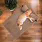 Orthopedic-Dog-Bed-Size-Guide