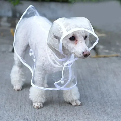 Transparent Dog Raincoat | All-Weather Protection