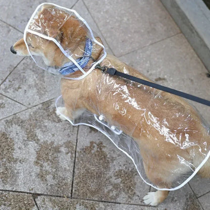 Transparent Dog Raincoat | All-Weather Protection