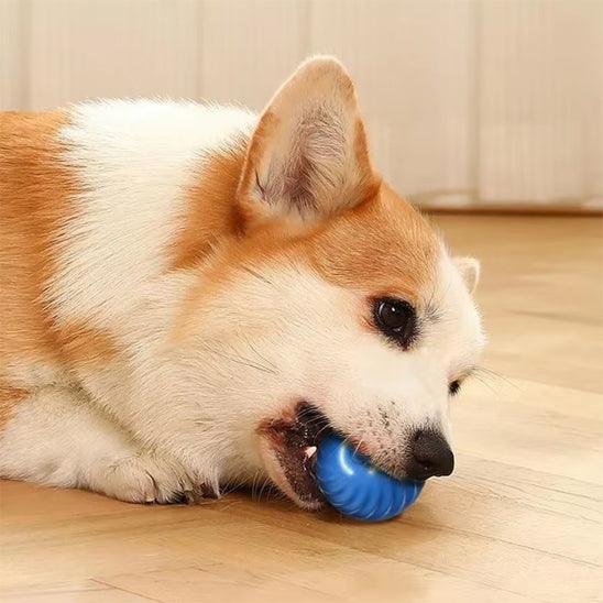 Petsafe™ Interactive Dog Ball Toy – Smart Motion Fun for Active Pets - My Pet's Palace