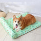 PetSafe™ Cooling Dog Mat – Stay Cool, Comfortable & Safe - My Pet's Palace