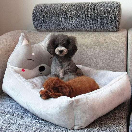 PetSmart™ Orthopedic Dog Bed – Soft, Supportive & Cute - My Pet's Palace