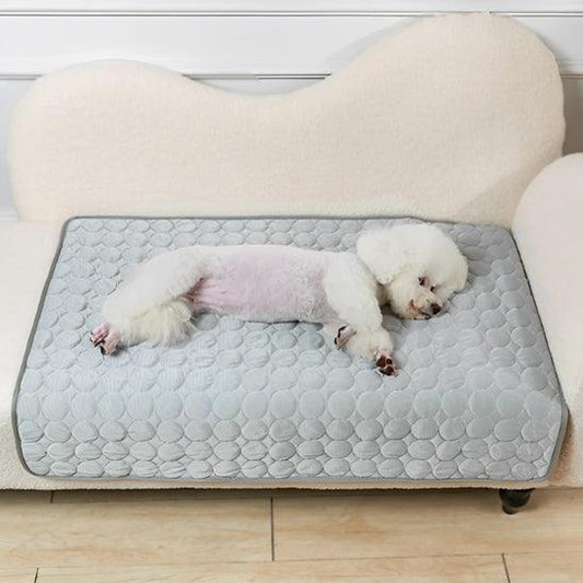 PetSafe™ Dog Cooling Mat – Keep Your Dog Cool & Comfortable All Summer Long - My Pet's Palace