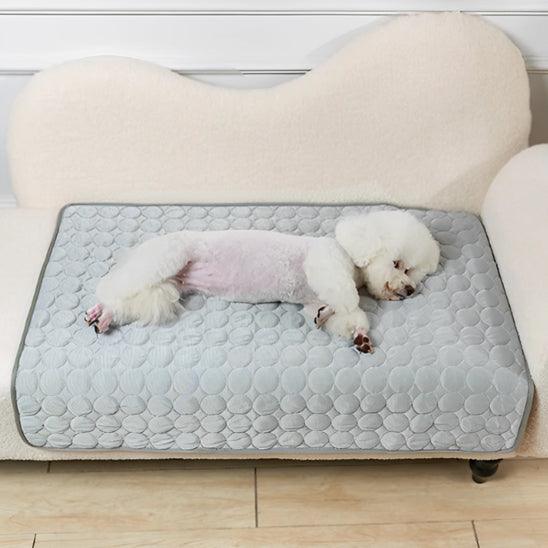 PetSafe™ Dog Cooling Mat – Keep Your Dog Cool & Comfortable All Summer Long - My Pet's Palace