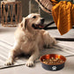 dog-feeding-bowl-safe-durable-easy-to-clean