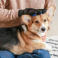 PetSafe™ Dog Grooming Gloves - Pet Hair Remover & Massage Tool - My Pet's Palace