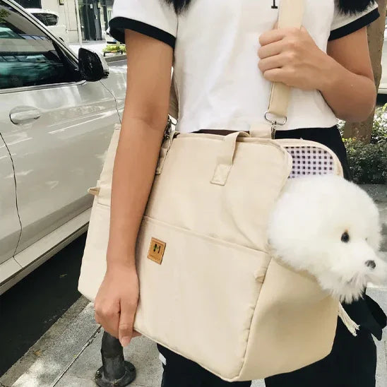 dog-securely-strapped-in-booster-seat
