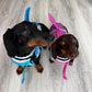 PetSafe™ Dog Shark Life Jacket – Reflective, Adjustable Straps & Rescue Handle for Safe Swimming - My Pet's Palace