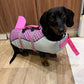 PetSafe™ Dog Shark Life Jacket – Reflective, Adjustable Straps & Rescue Handle for Safe Swimming - My Pet's Palace