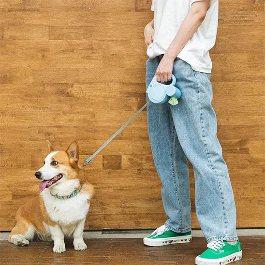 dog-walking-leash-with-led-light