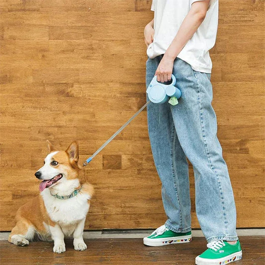 dog-walking-leash-with-led-light