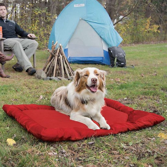 PetSafe™ Portable Dog Camping Bed – Comfort Anywhere, Anytime - My Pet's Palace