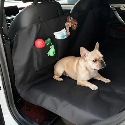 Housse voiture chien