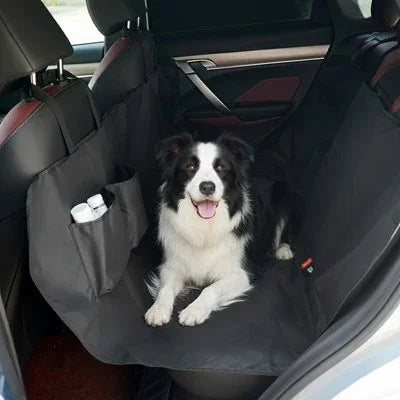Housse voiture chien
