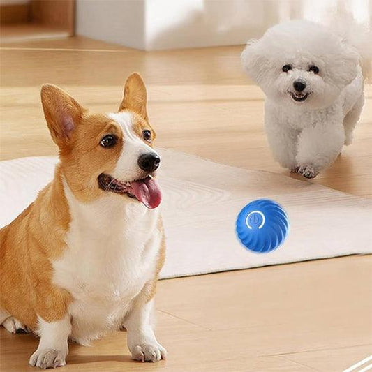 Petsafe™ Interactive Dog Ball Toy – Smart Motion Fun for Active Pets - My Pet's Palace