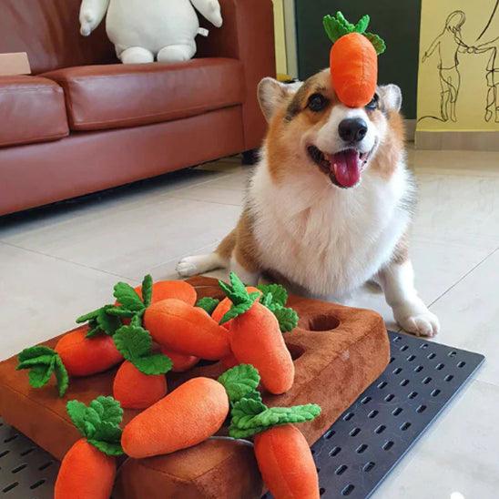 Ultimate Interactive Dog Toys for Endless Fun and Mental Stimulation. - My Pet's Palace