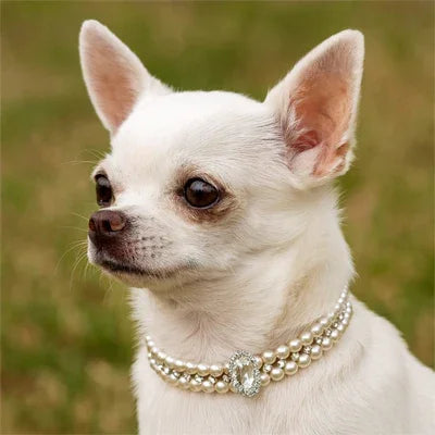 PetSafe™ Luxury Dog Pearl Collar - Adjustable Rhinestone Bling for dogs
