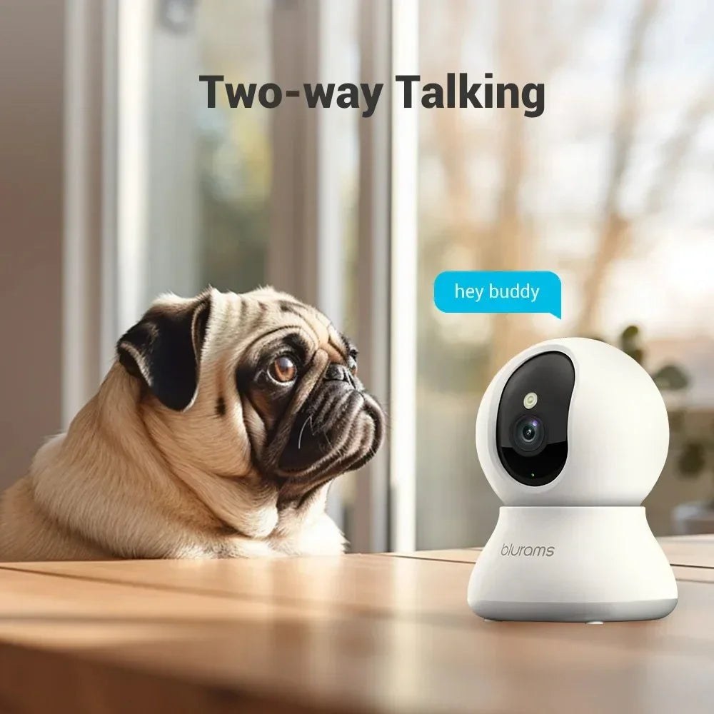 For Your Dog, You Never Really Left
