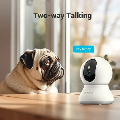 For Your Dog, You Never Really Left