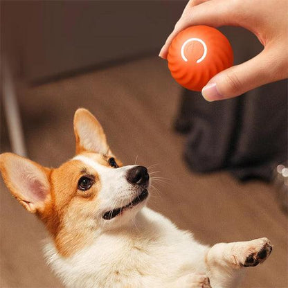 Petsafe™ Interactive Dog Ball Toy – Smart Motion Fun for Active Pets - My Pet's Palace