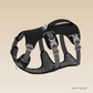 PetSafe® No-Pull Dog Harness – Ultimate Control & Comfort for Your Dog - My Pet's Palace
