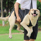 PetSafe™ Pet Carrier Bag for Dogs – Ultimate Comfort & Support for Your Dog’s Adventures - My Pet's Palace