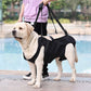 PetSafe™ Pet Carrier Bag for Dogs – Ultimate Comfort & Support for Your Dog’s Adventures - My Pet's Palace