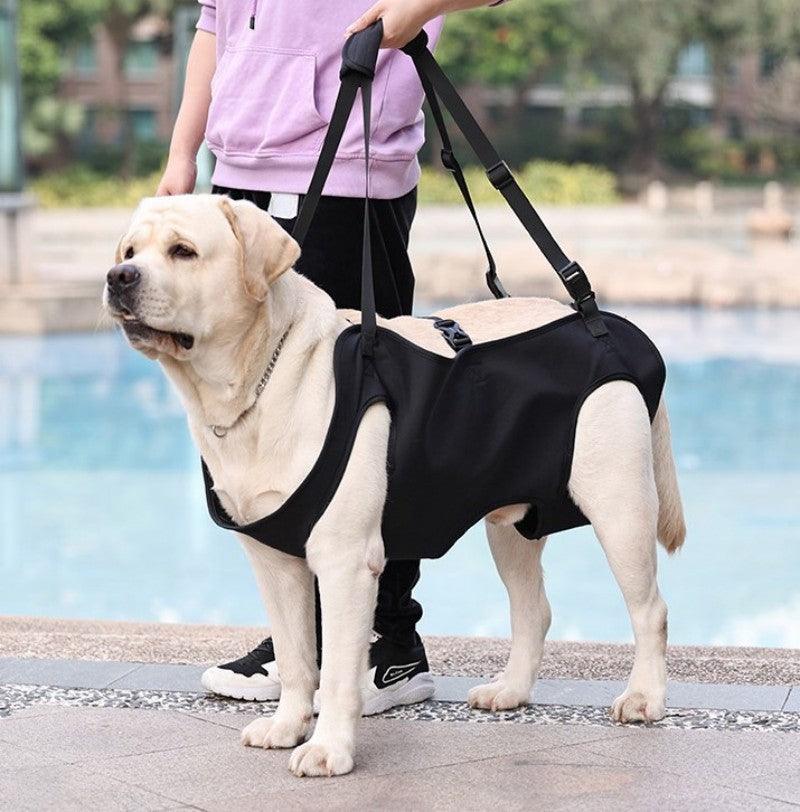 PetSafe™ Pet Carrier Bag for Dogs – Ultimate Comfort & Support for Your Dog’s Adventures - My Pet's Palace