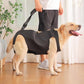 PetSafe™ Pet Carrier Bag for Dogs – Ultimate Comfort & Support for Your Dog’s Adventures - My Pet's Palace