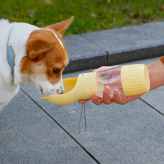 PetSafe™ Travel Water Bottle for Dogs – Fresh Water and Treats, Always Ready - My Pet's Palace