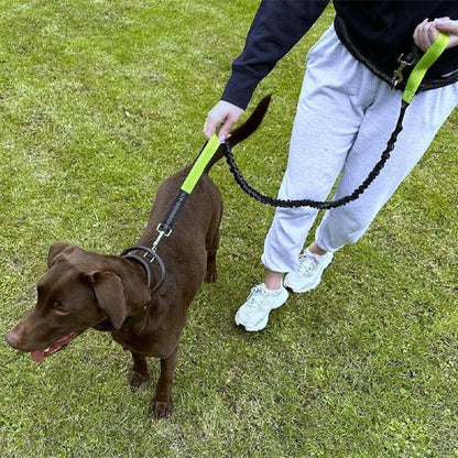 petsafe-reflective-hands-free-leash-safety-evening-uk
