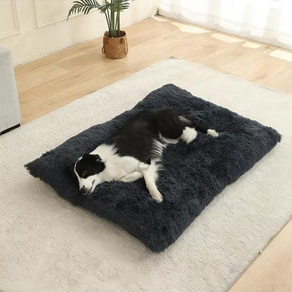 PetSafe™ Soft Dog Bed House – A Warm, Cozy Sanctuary Your Dog Deserves - My Pet's Palace
