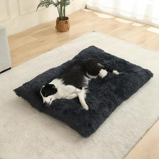 PetSafe™ Soft Dog Bed House – A Warm, Cozy Sanctuary Your Dog Deserves - My Pet's Palace