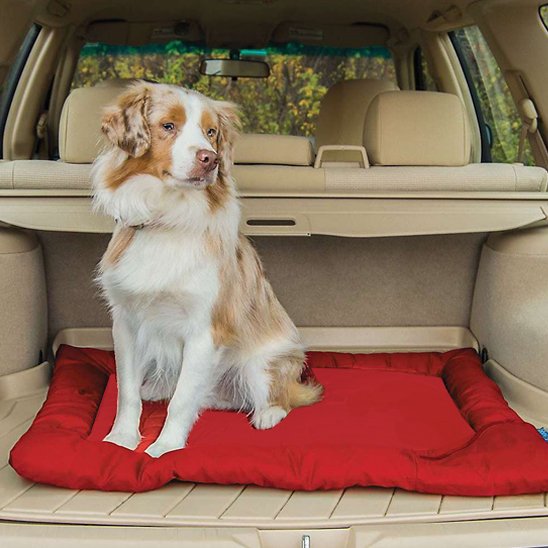 PetSafe™ Portable Dog Camping Bed – Comfort Anywhere, Anytime - My Pet's Palace