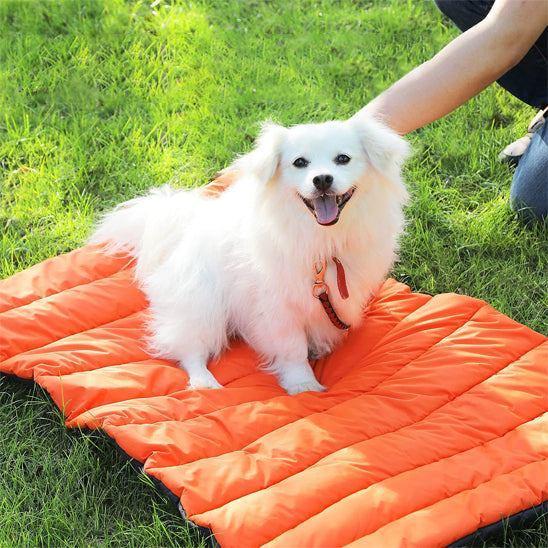 PetSafe™ Dog Mat – Ultimate All-Day Comfort, Anytime, Anywhere - My Pet's Palace