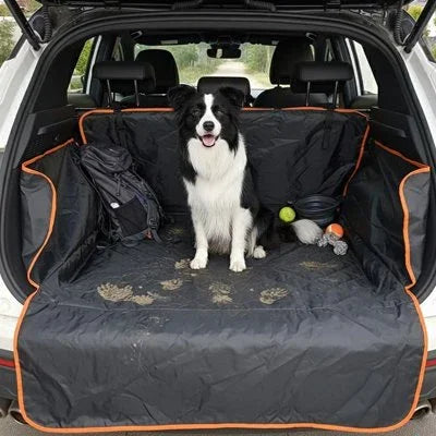 Protection chien voiture