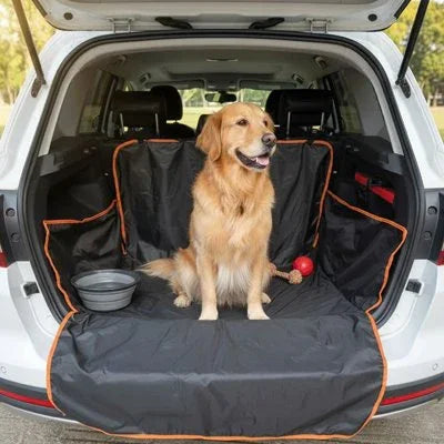 Protection chien voiture