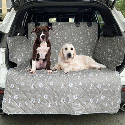 Protection chien voiture