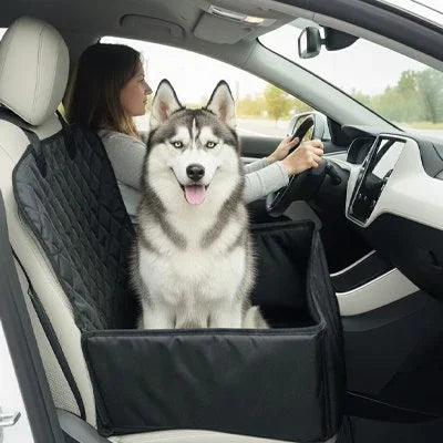 Siege auto pour chien