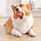 Petsafe™ Interactive Dog Ball Toy – Smart Motion Fun for Active Pets - My Pet's Palace