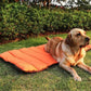 PetSafe™ Dog Mat – Ultimate All-Day Comfort, Anytime, Anywhere - My Pet's Palace