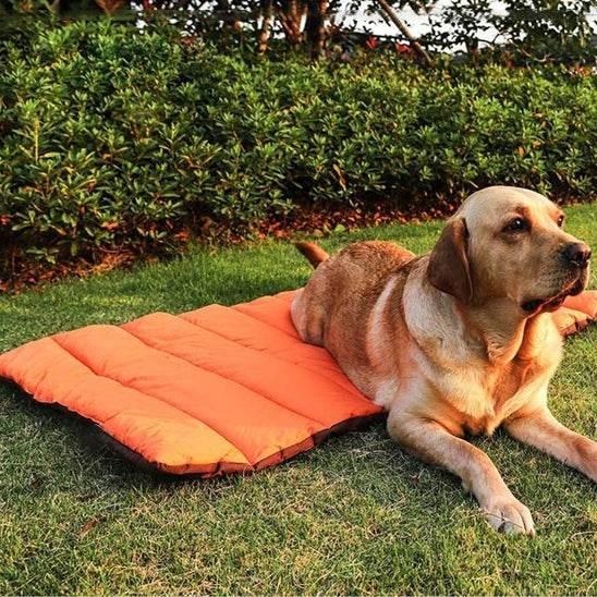 PetSafe™ Dog Mat – Ultimate All-Day Comfort, Anytime, Anywhere - My Pet's Palace